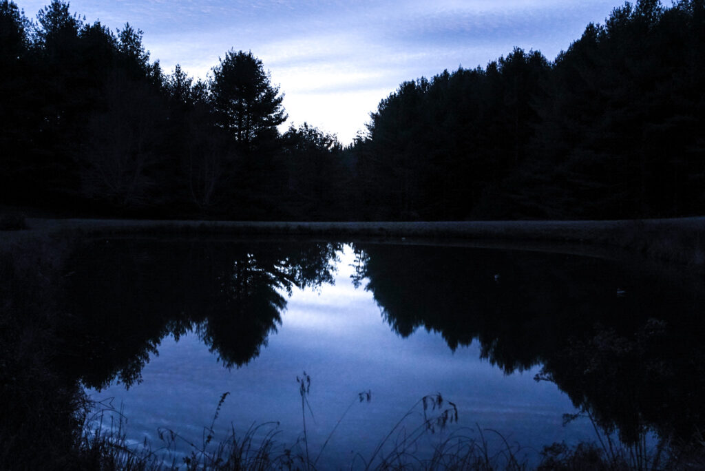 blue mountain light with pond in front and silhouetted trees